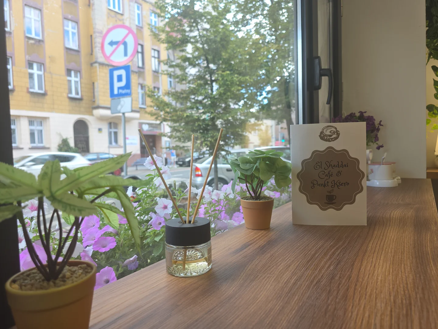 Sunny window counter with plants inside El Shaddai