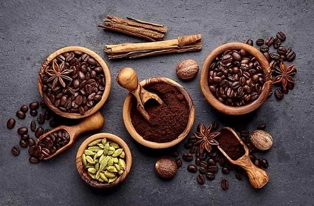 Narasu's Coffee Filter Coffee